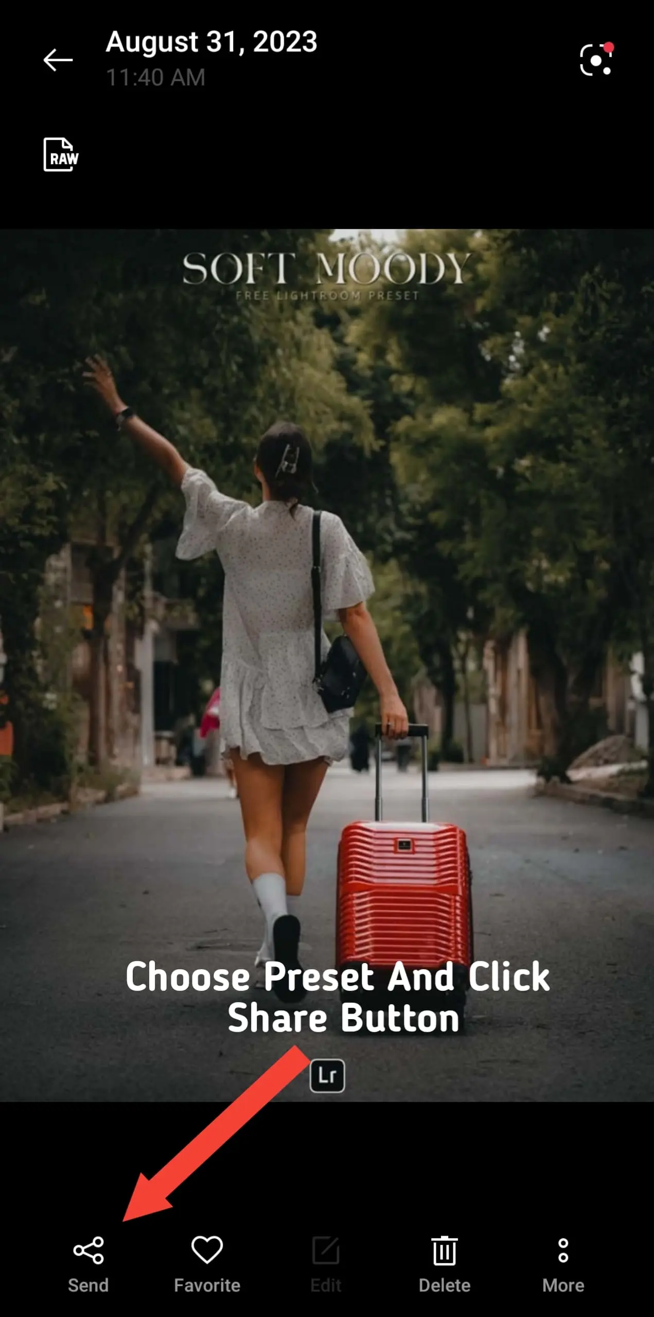 How To Import Lightroom Mobile Presets In Easy Steps & Use Preset