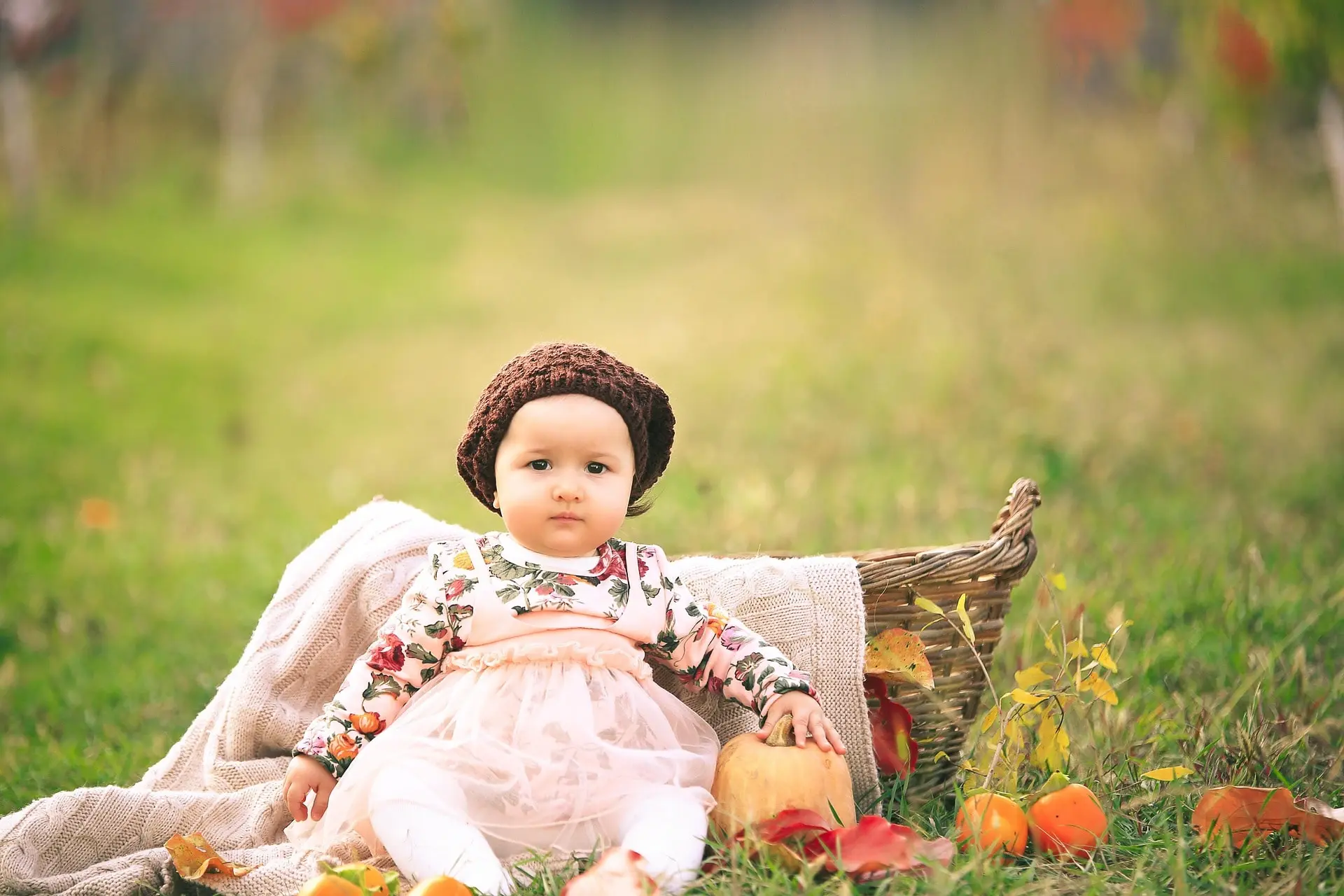 Cinimatic Yellow Tone lIghtroom Preset