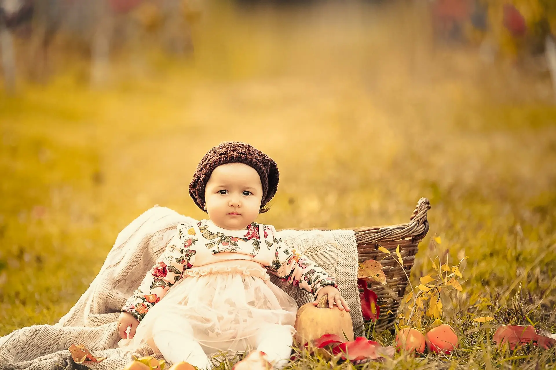 Cinimatic Yellow Tone lIghtroom Preset